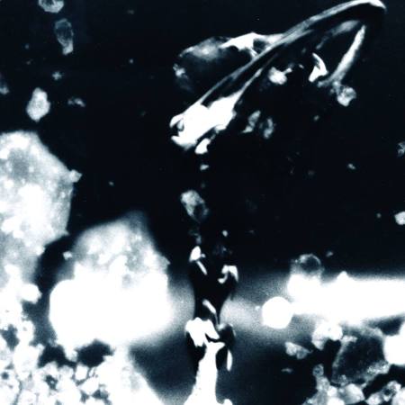 10686979_533966740037171_8319823911340342527_n